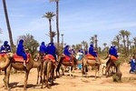 Majorelle Garden and Camel Ride in Marrakesh Palm Grove 