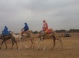 Atlas Mountains And Camel Ride Guided Tour