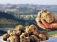 Private Truffle Hunt in Tuscany