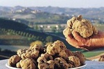 Private Truffle Hunt in Tuscany
