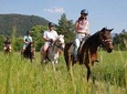 Adventure Horse Safari From Kusadasi / Selcuk Hotels