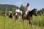Adventure Horse Safari From Kusadasi / Selcuk Hotels