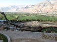 Private Full Day: Majes, Toro Muerto and Dinosaur Footprints. From Arequipa