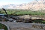 Private Full Day: Majes, Toro Muerto and Dinosaur Footprints. From Arequipa