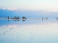 3 Days Danakil Depression Tour