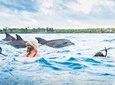 Zanzibar Dolphin Tour unforgettable Experience!