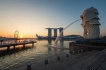 Singapore: 8 Hours - Private Car or Minibus Rental with Driver