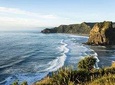 West Coast Discovery - Piha Beach or Muriwai Beach from Auckland