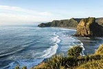 West Coast Discovery - Piha Beach or Muriwai Beach from Auckland