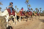 camel ride marrakech