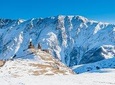 Kazbegi Full Day Private Tour