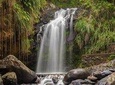 Waterfalls Adventure Hikes in St. George's, Grenada
