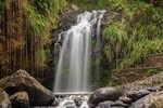 Waterfalls Adventure Hikes in St. George's, Grenada