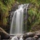 Waterfalls Adventure Hikes in St. George's, Grenada