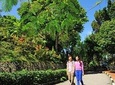 Group Tour : Half Day Penang Guided Trip