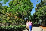 Group Tour : Half Day Penang Guided Trip