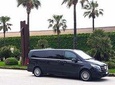 Private Transfer from Palermo airport to Palermo city or vice versa