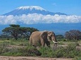 Kilimanjaro Climbing, Machame Route,7 Days.