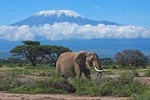 Kilimanjaro Climbing, Machame Route,7 Days.
