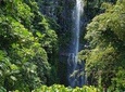 Maui Tour : Private Road to Hana