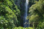 Maui Tour : Private Road to Hana