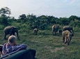 Hurulu Eco Park Budget Friendly Safari