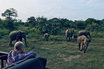 Hurulu Eco Park Budget Friendly Safari