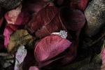 Marriage proposal in San Miguel