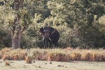 Kalawewa National Park Shared Safari 