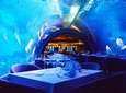 Aquarium Phuket and Trick Eye Museum Admission Tickets 