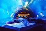 Aquarium Phuket and Trick Eye Museum Admission Tickets 
