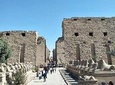 Luxor East Bank guided tour , Karnak and Luxor Temples