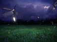 Glowing Kuala Selangor Firefly Tour