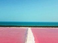 Las Coloradas & Ek Balam Tour & Valladolid