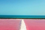 Las Coloradas & Ek Balam Tour & Valladolid