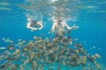 Snorkeling Tour In Gili Islands By Speedboat Pick up From Bali