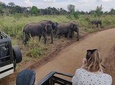 Hurulu Eco Park Private Safari with Naturalist