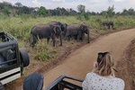 Hurulu Eco Park Private Safari with Naturalist