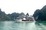 Le Theatre Cruises Lan Ha bay 2 Days 1 Night: The Most Luxury Cruises & Services