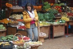 Shopping advisor