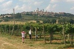 San Gimignano Monteriggioni Tuscany Chianti Wine Tasting Fullday from Florence