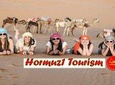 Platinum Desert Safari with Quad Bike & VIP Service (Alcohol Optional)