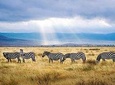 Ngorongoro crater tour
