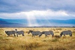 Ngorongoro crater tour