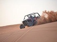 Mleiha Dune Buggy Adventures with transfers from Dubai