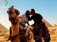 Cairo Airport to Pyramids and Egyptian Museum Private Tour