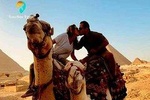 Cairo Airport to Pyramids and Egyptian Museum Private Tour