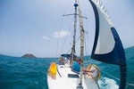 3-Hour Private Sailing Tour around the Lobos Island