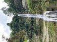 Can-umantad Falls and candijay rice terraces Eco Tour