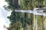 Can-umantad Falls and candijay rice terraces Eco Tour